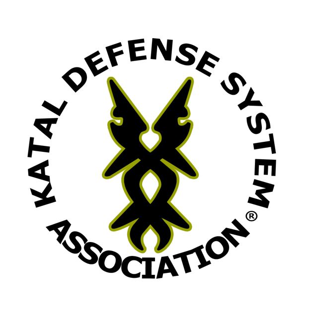 https://www.gecovisual.com/wp-content/uploads/2024/02/Logo-KDSA.jpg